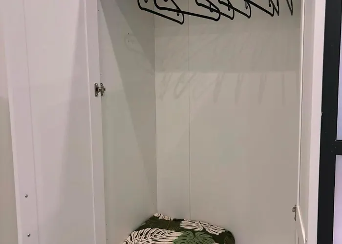 Elephant * Katania